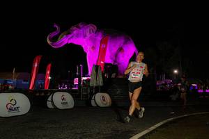 BIB: 
                            <button type="button" onclick="openModal(26534325)" class="btn btn-primary btn-sm float-right btn-popup" data-toggle="modal" data-target=".modal-high-quality">
                        <i class="fas fa-shopping-cart"></i> Add to Cart
                    </button>
                                            <button type="button" onclick="isThisMe(26534325, true)" class="btn btn-success btn-sm float-right btn-popup btn-isme hidden" data-toggle="tooltip" data-placement="bottom" title="นี่คือรูปของคุณใช่ไหม คลิกที่นี่เพื่อเอาเข้าอัลบั้ม">
                        <i class="fas fa-plus"></i> Add to album
                    </button>
                    <button type="button" onclick="isThisMe(26534325, false)" class="btn btn-warning btn-sm float-right btn-popup btn-isnotme hidden">
                        <i class="fas fa-ban"></i> Remove from album
                    </button>